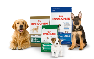 royal canin maistas šunims