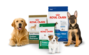 Žinomiausias Royal canin maistas šunims – ar, šiuo atveju, žinomumas įtvirtina kokybę?